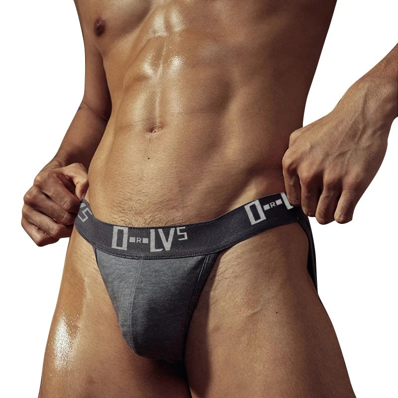 ORLVS Bikini Brief - Gray