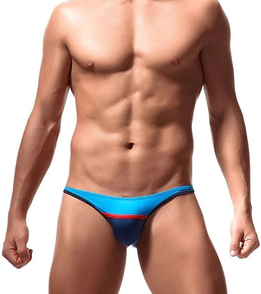 Men's Striped Bikini Brief Underwear - Blue/Navy