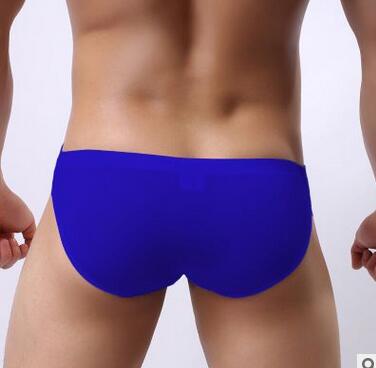 Men's Polyester Seamless Colored Brief