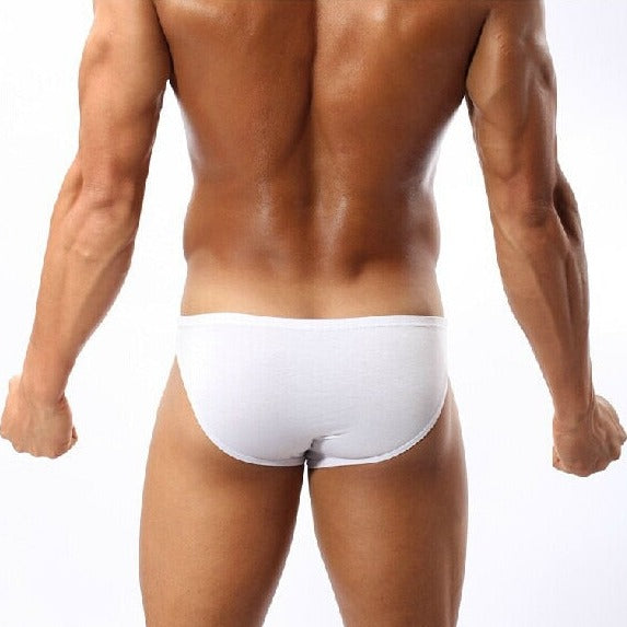 Modal Bikini Brief - White