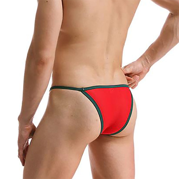 mens mesh bikini underwear - rear