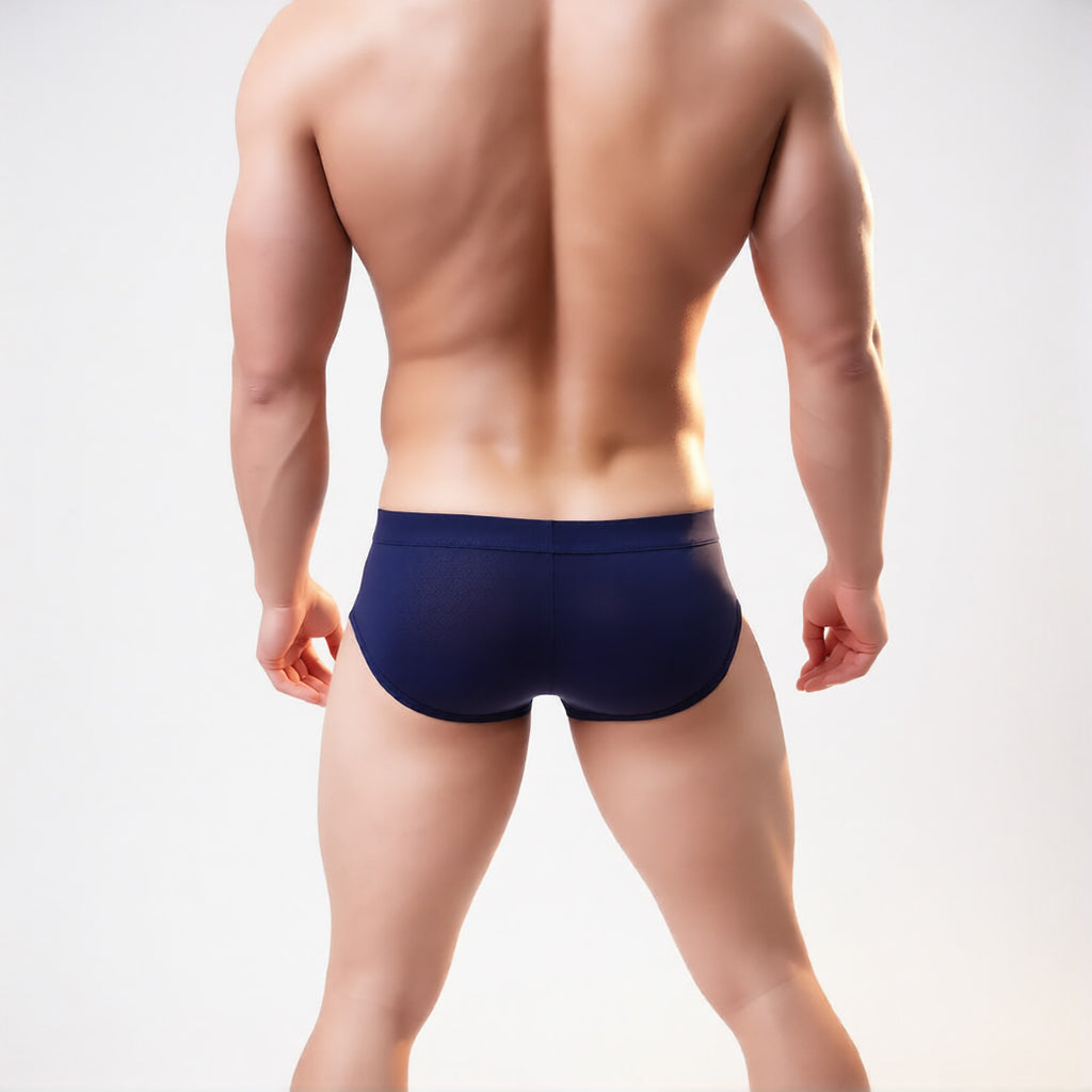 Men’s mesh briefs in navy, rear  view highlighting the breathable sheer fabric and low-rise fit | color:navy