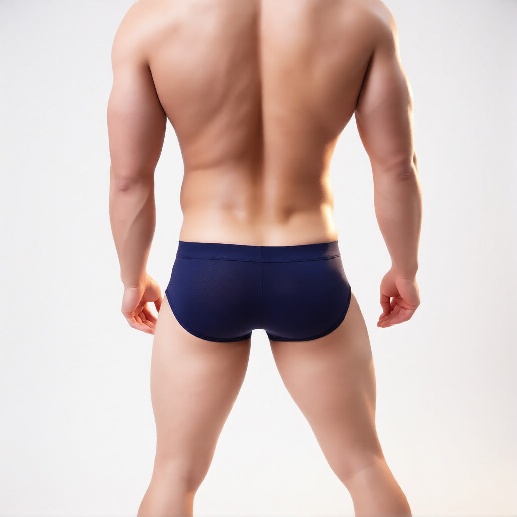 Men’s mesh briefs in navy, rear  view highlighting the breathable sheer fabric and low-rise fit | color:navy