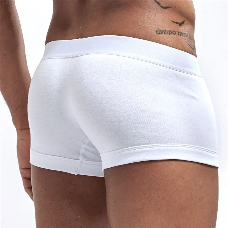 Underwear with built-in c-ring