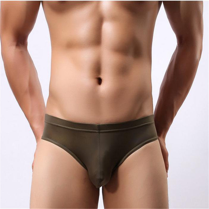 Men's Sheer Brief Underwear