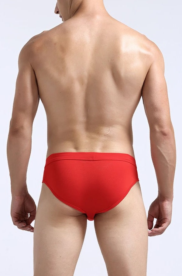 Men's Dual Pouch Brief - Rear