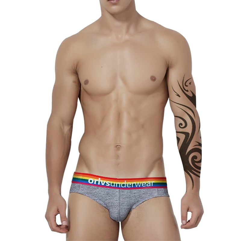 Gay Men Pride Underwear - Gray