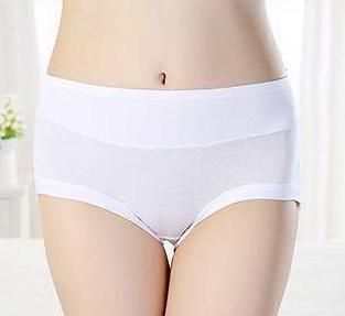 Women's Bamboo Smooth Seam Mid-Rise Brief Underwear - White