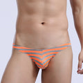 Men's Sexy Striped Low Rise Thong