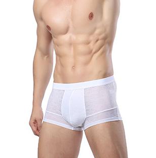 Men's Bamboo Boxer Brief Underwear - White
