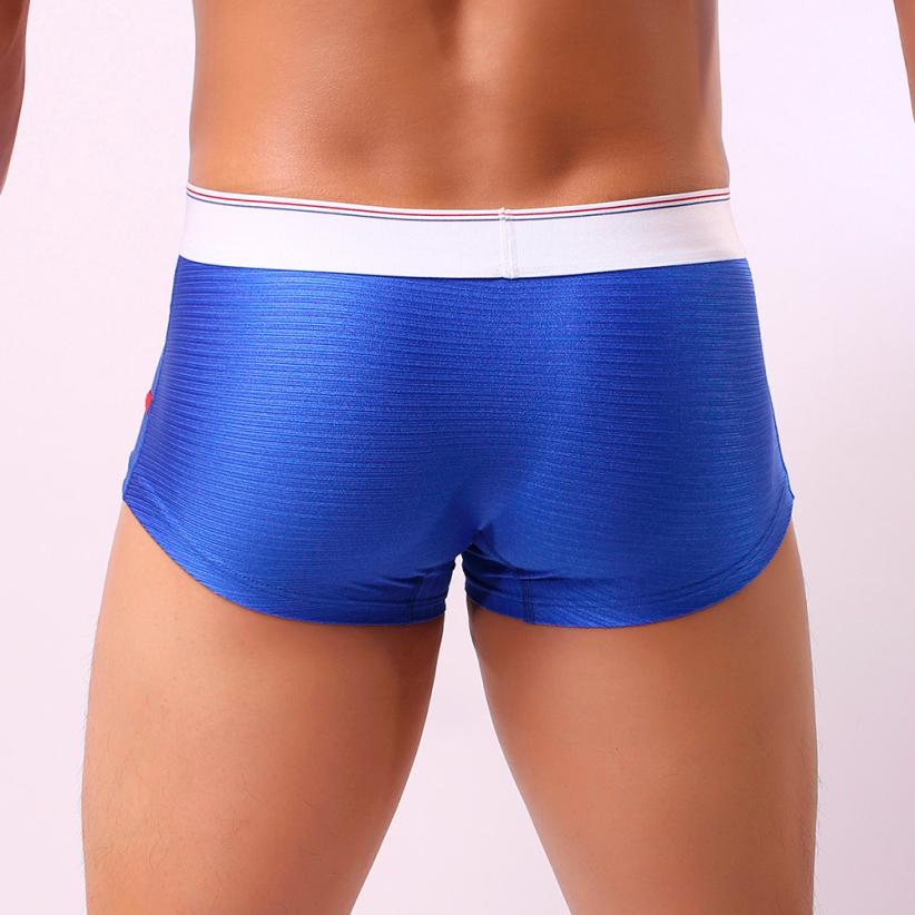 Free Men's Linear Boxer Brief Underwear - Blue Rear