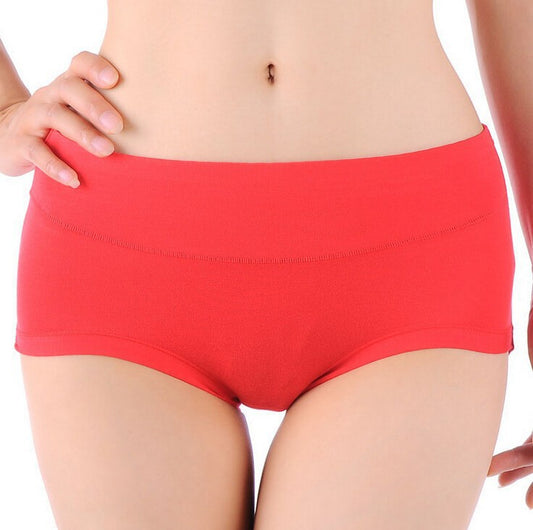 Women's No Show Ultra-Thin Nylon Brief Underwear – Frundies