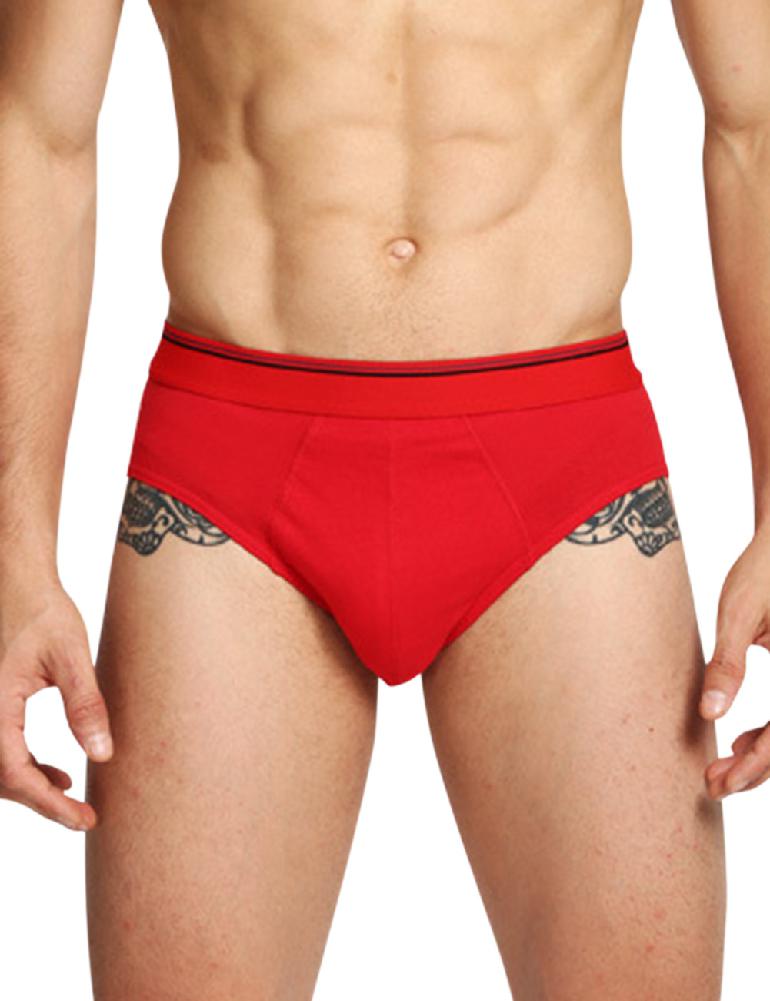 Men's Brief Underwear