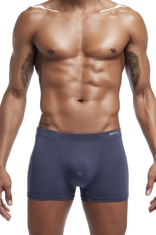 Men's Jockmail Soft Support Modal Boxer Brief Underwear - Gray