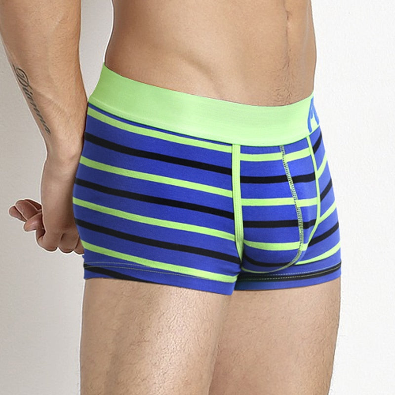 Striped Boxer Shorts - Navy - Green